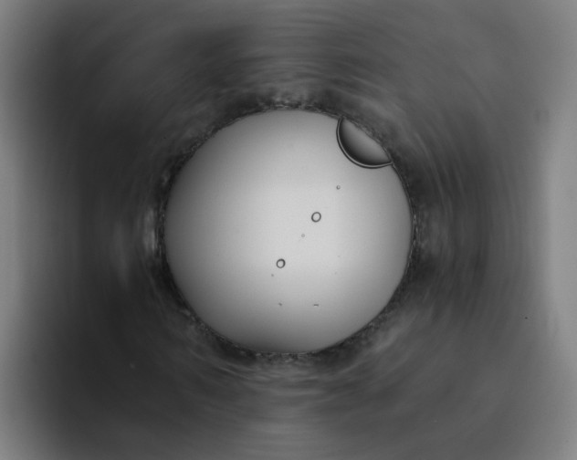 X0000094360962200711162047