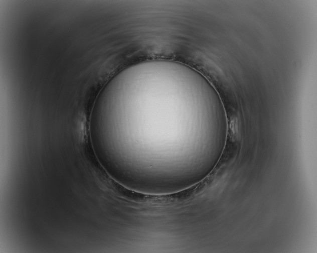 X0000094360963200711162047