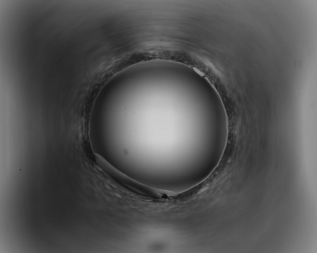 X0000094360965200711162047