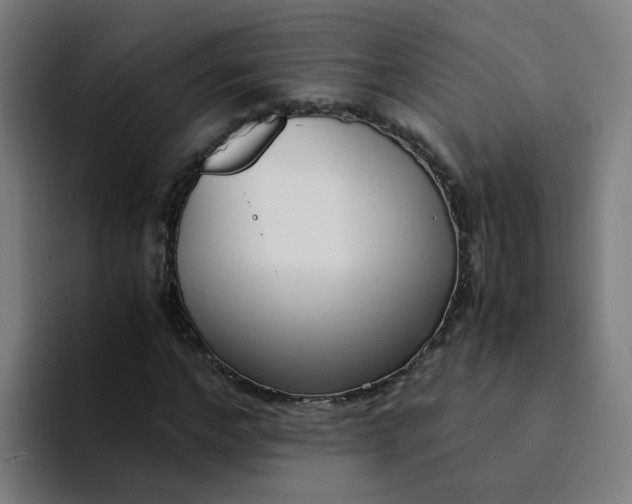 X0000094360968200711162047