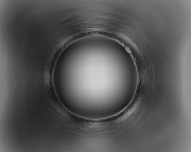 X0000094360969200711162047