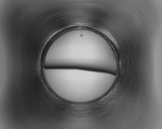 X0000094360972200711162047