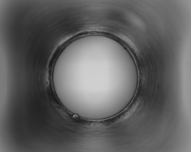 X0000094360974200711162047