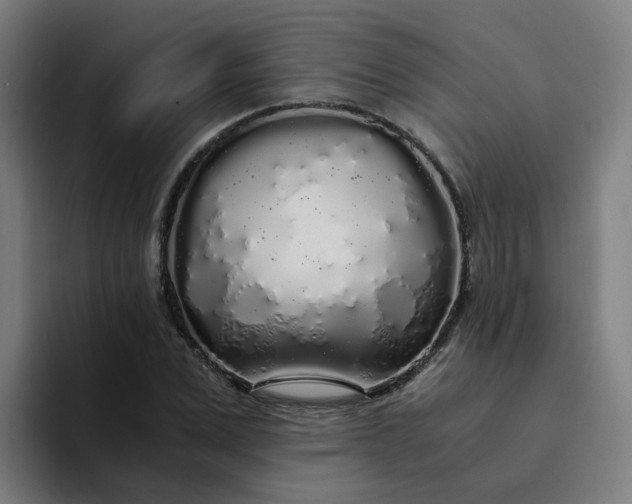 X0000094360975200711162047