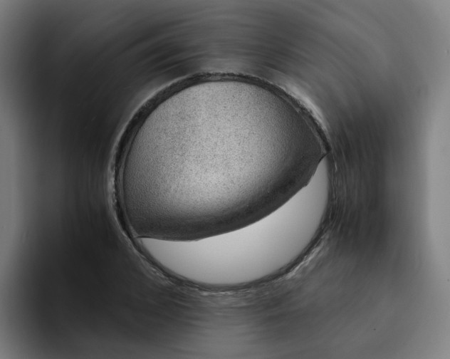 X0000094360976200711162047