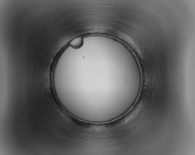 X0000094360978200711162047