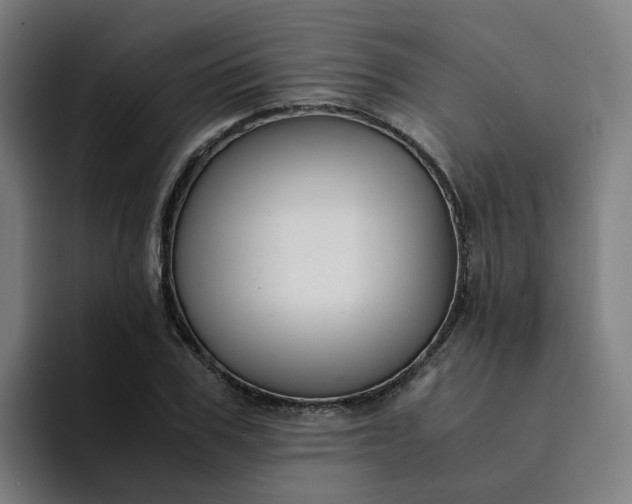 X0000094360979200711162047