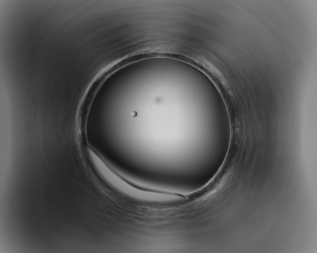 X0000094360981200711162047