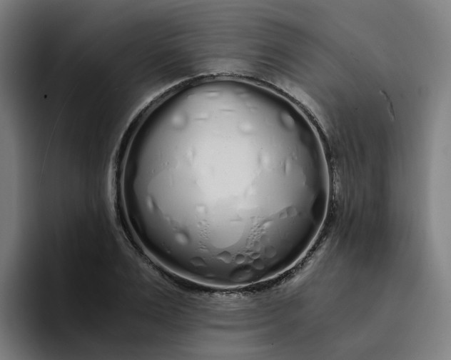 X0000094360983200711162047