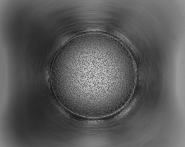 X0000094360985200711162047