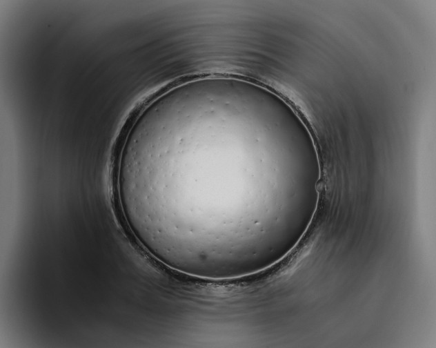 X0000094360987200711162047