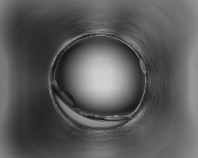 X0000094360989200711162047