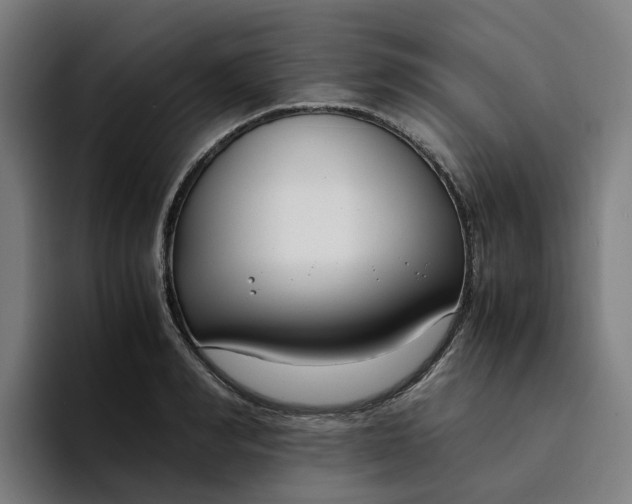 X0000094360990200711162047