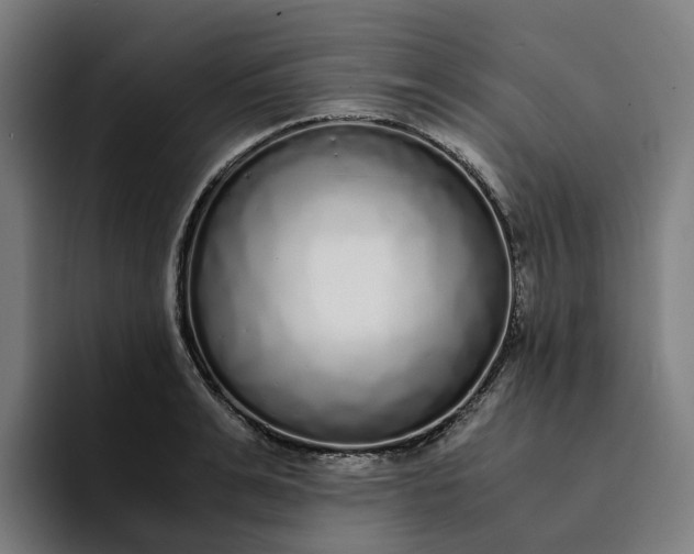 X0000094360991200711162047