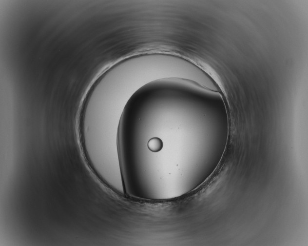 X0000094360997200711162047