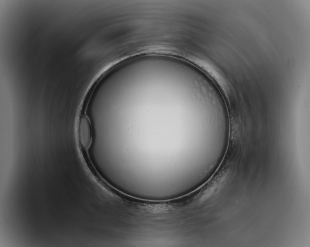 X0000094360999200711162047