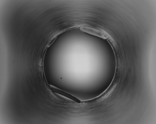 X0000094361001200711162046