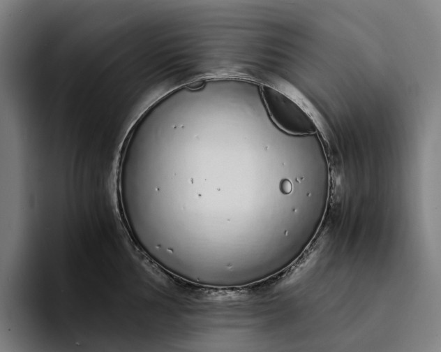 X0000094361002200711162046