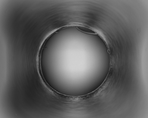 X0000094361003200711162046