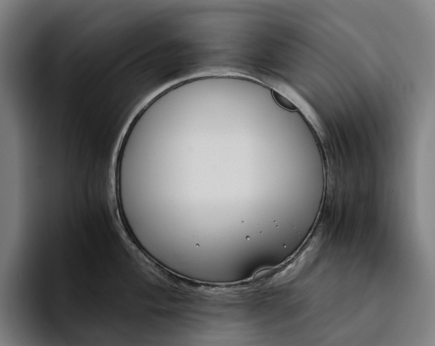 X0000094361004200711162046