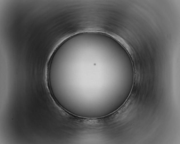 X0000094361006200711162046