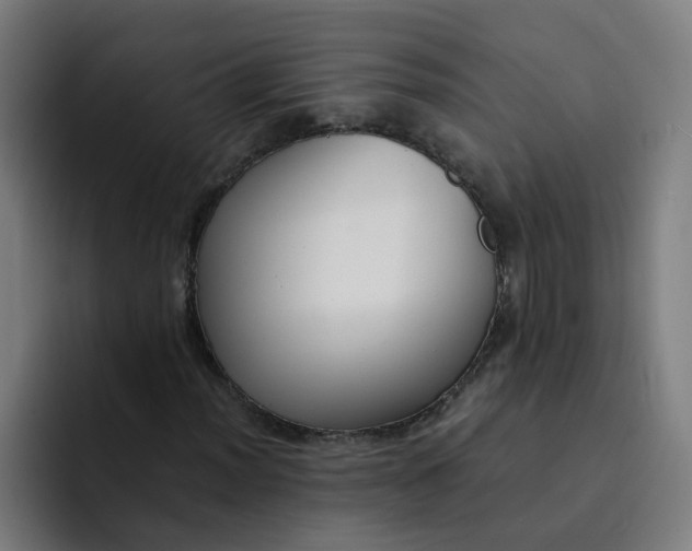 X0000094361012200711162046