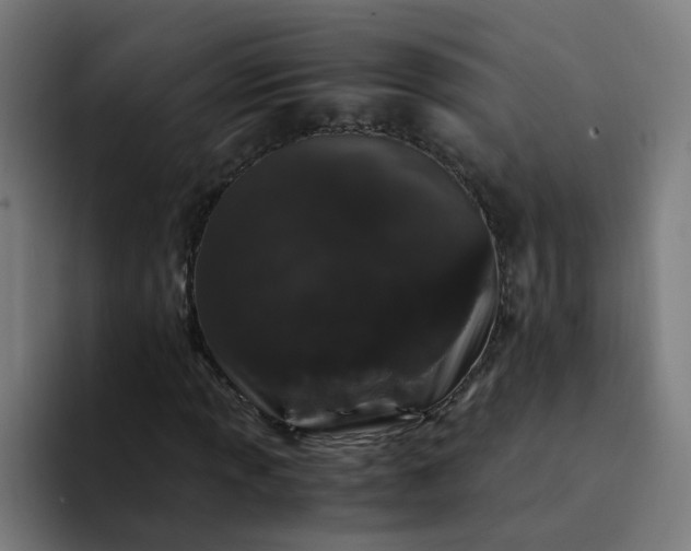 X0000094361013200711162046