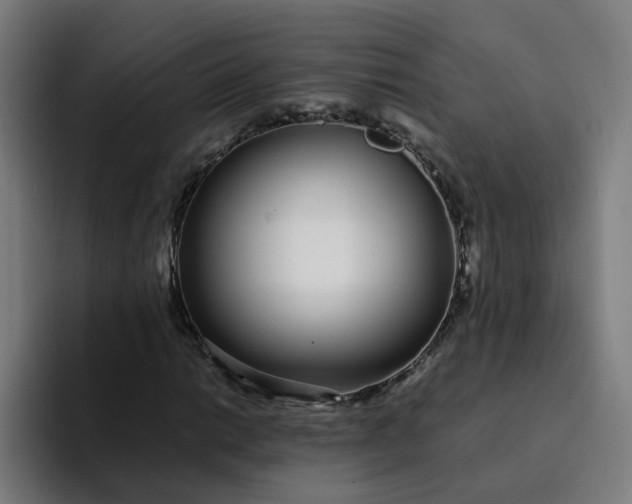 X0000094361014200711162046