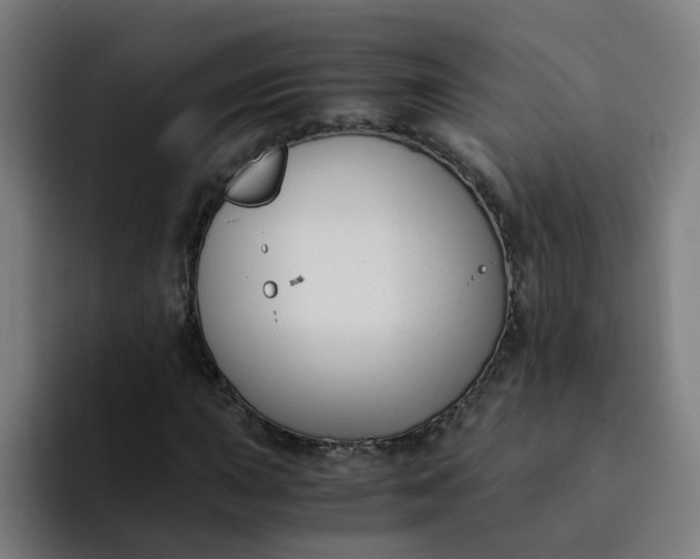 X0000094361015200711162046