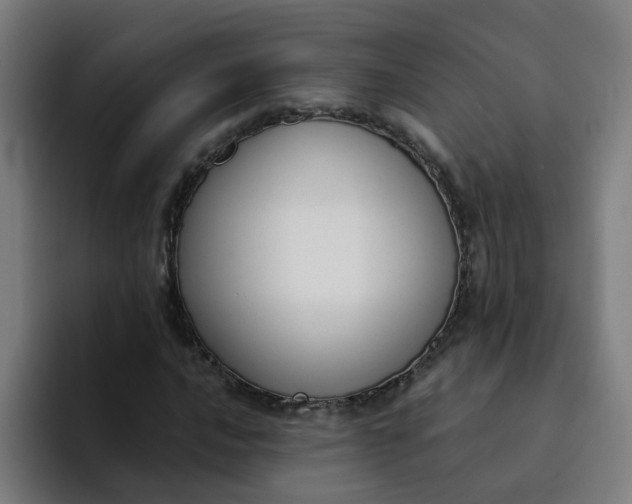 X0000094361016200711162046