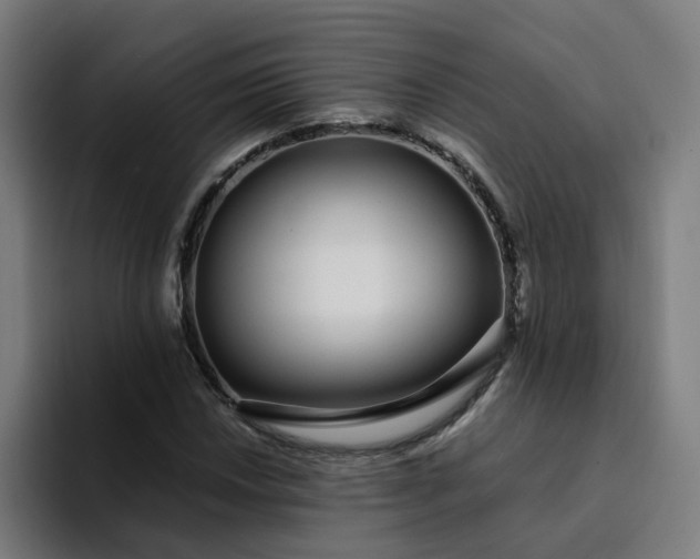 X0000094361018200711162046