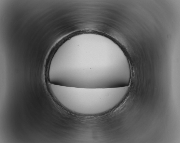 X0000094361020200711162046