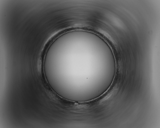 X0000094361021200711162046