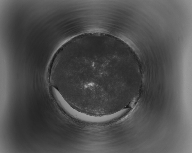 X0000094361022200711162046