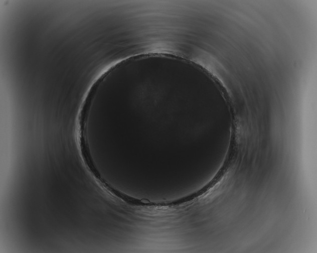 X0000094361024200711162046