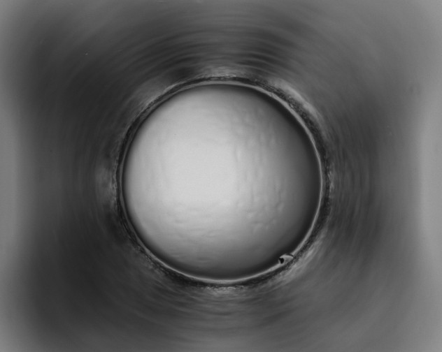 X0000094361025200711162046