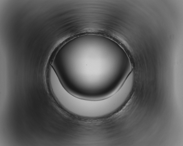 X0000094361026200711162046