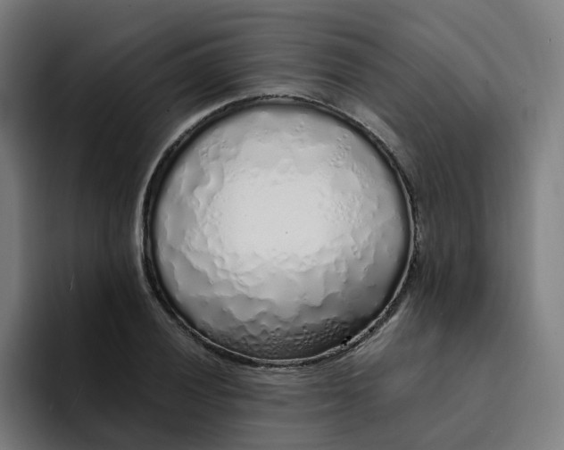 X0000094361028200711162046