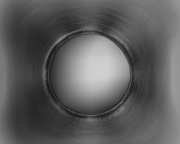 X0000094361029200711162046