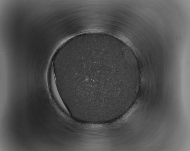 X0000094361030200711162046