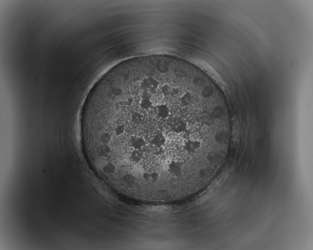 X0000094361031200711162046