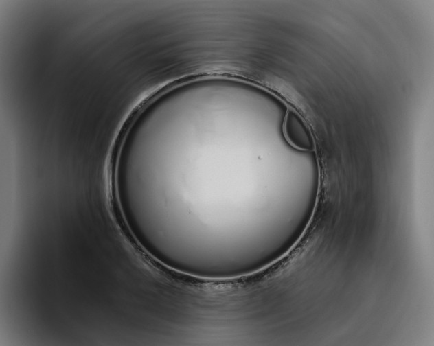 X0000094361032200711162046