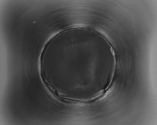 X0000094361034200711162046