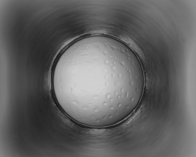 X0000094361036200711162046