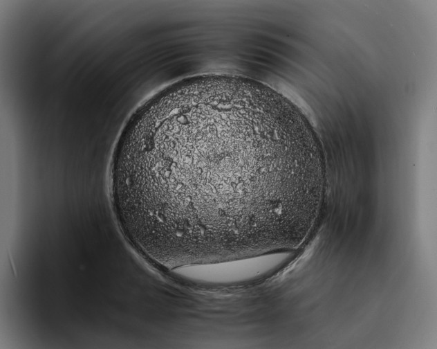 X0000094361037200711162046