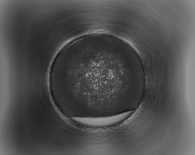 X0000094361038200711162046