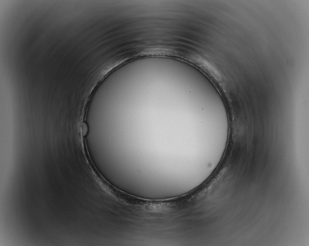 X0000094361041200711162046