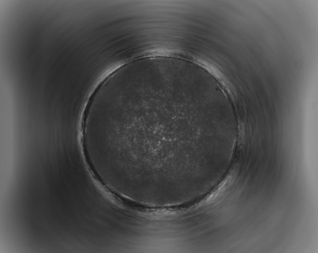 X0000094361042200711162046