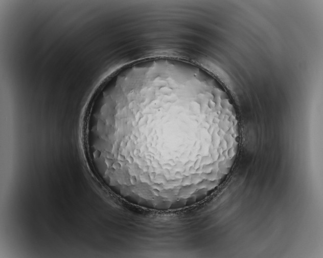 X0000094361043200711162046