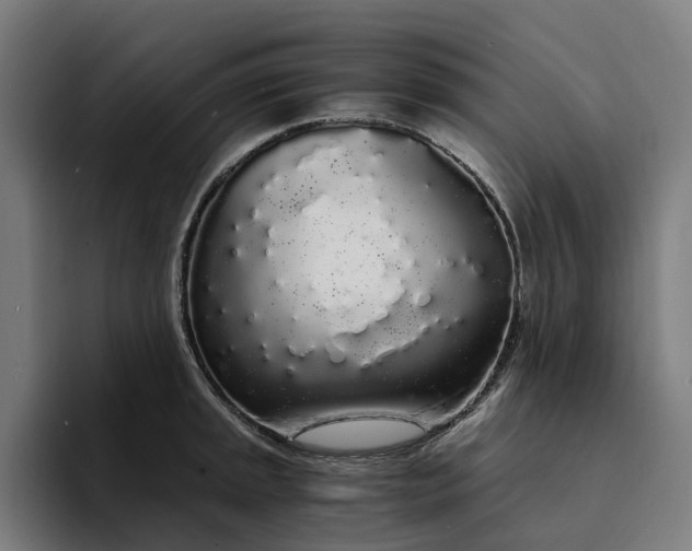 X0000094361045200711162046